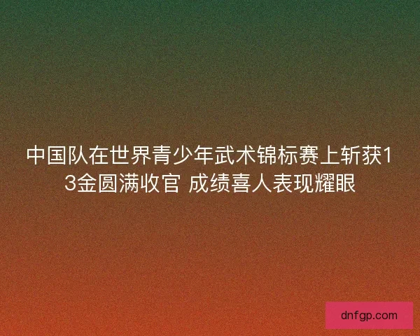 中国队在世界青少年武术锦标赛上斩获13金圆满收官 成绩喜人表现耀眼 中国队在世界青少年武术锦标赛上斩获13金圆满收官 成绩喜人表现耀眼